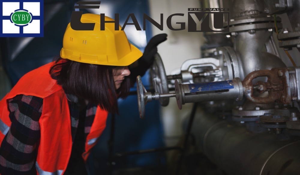 magnetic drive pump